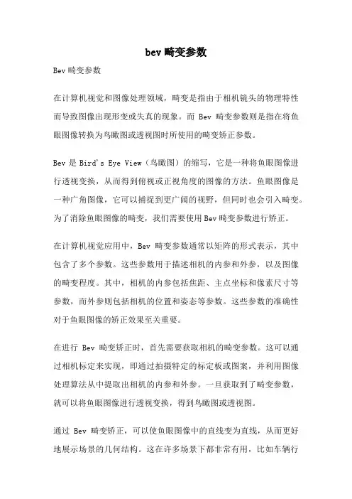 bev畸变参数