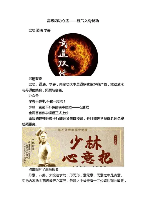 高级内功心法——练气入骨秘功