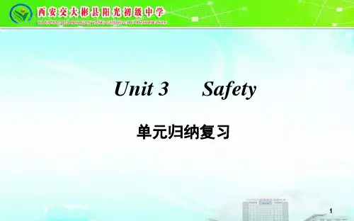 冀教版九年级英语   Unit 3  单元归纳复习(共22张PPT)