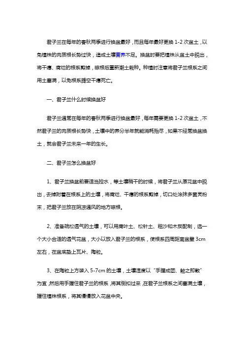 君子兰什么时间换土换盆最好
