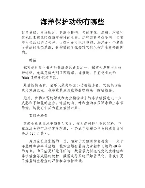 海洋保护动物有哪些