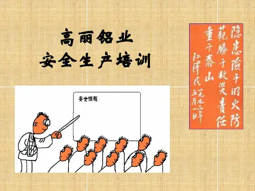 某铝业公司安全生产培训(PPT 34页)