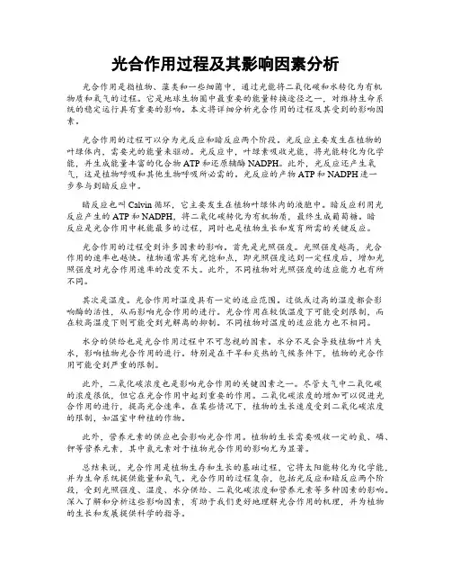 光合作用过程及其影响因素分析