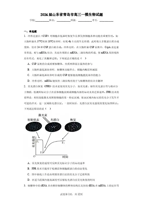 2024届山东省青岛市高三一模生物-试题含解析