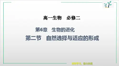 新教材《自然选择与适应的形成》课文分析人教版1