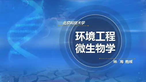 02-6.5 污水微生物脱氮除磷原理 课件