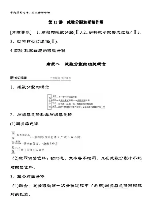 2019版生物：第四单元 细胞的生命历程 第12讲 含答案