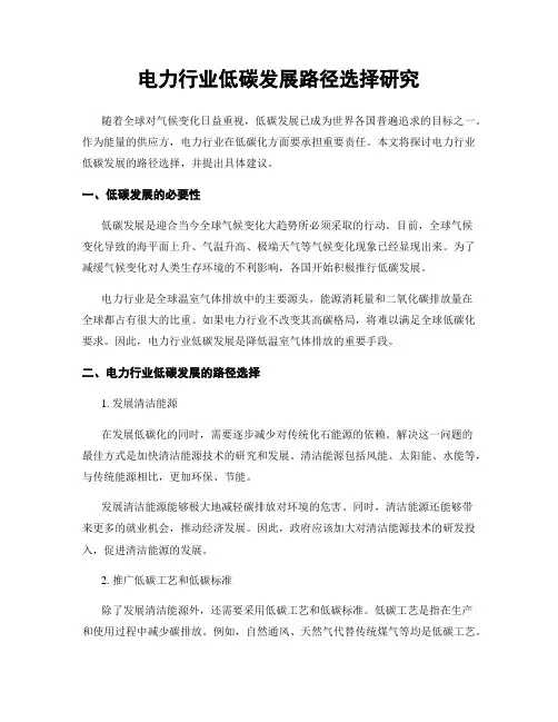 电力行业低碳发展路径选择研究