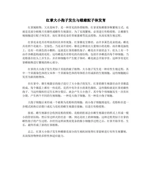红掌大小孢子发生与雌雄配子体发育