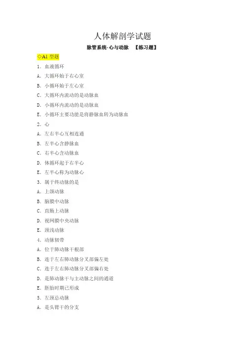 人体解剖学试题-脉管系统-心与动脉练习题