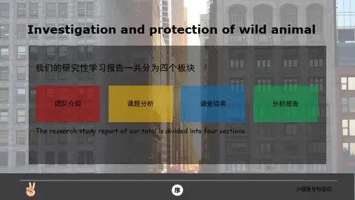 野生动物保护研究研究性学习 PPT