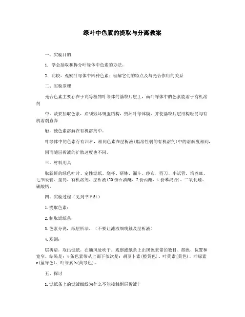 绿叶中色素的提取与分离教案