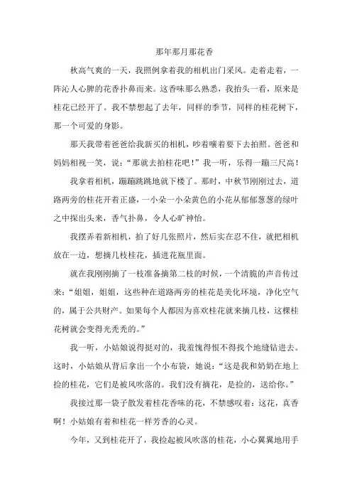 那年那月那花香作文300字