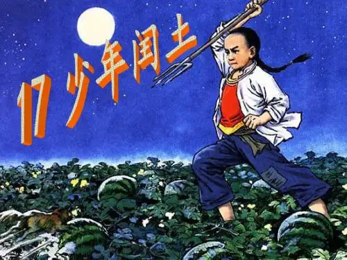 少年闰土微课终稿.doc