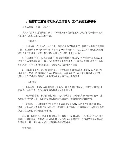 小额信贷工作总结汇报及工作计划_工作总结汇报模板