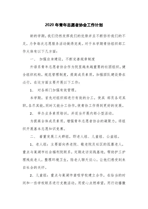 2020年青年志愿者协会工作计划
