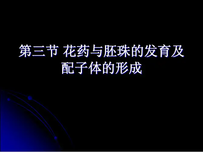 花药及胚珠的发育