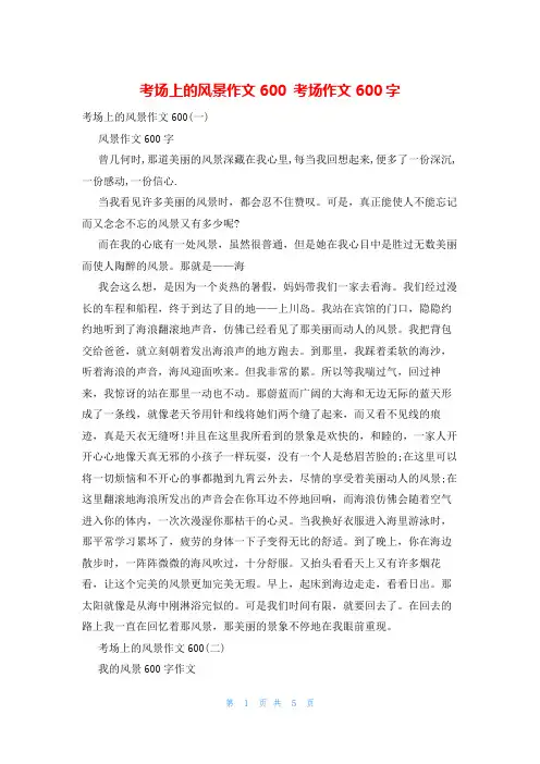 考场上的风景作文600 考场作文600字