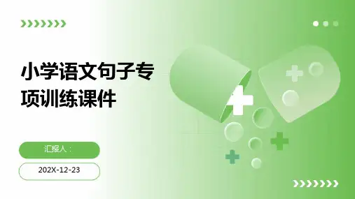 小学语文句子专项训练课件