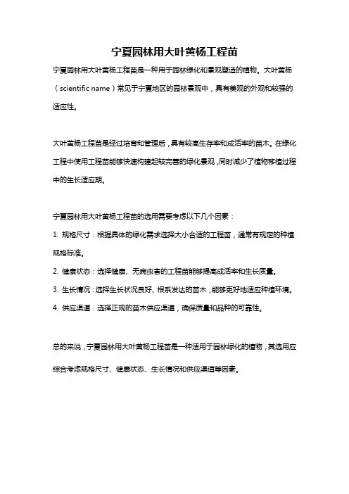 宁夏园林用大叶黄杨工程苗
