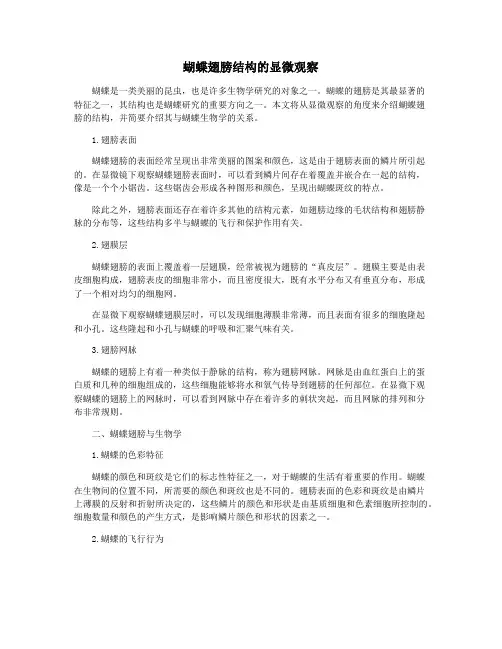 蝴蝶翅膀结构的显微观察