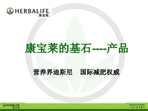 产品简介.ppt(一)20页PPT文档