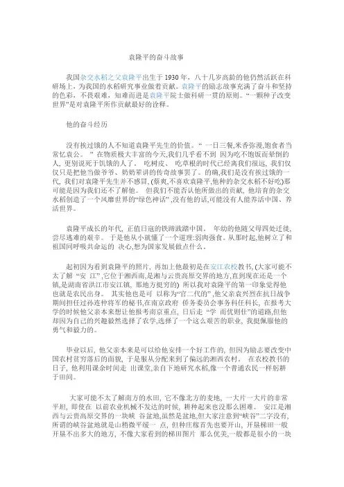 科学家的故事袁隆平与杂交水稻
