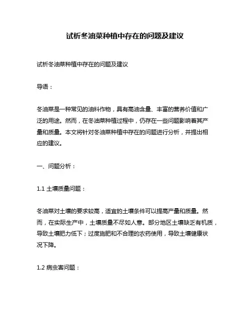 试析冬油菜种植中存在的问题及建议