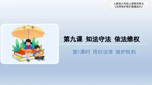 《知法守法依法维权》优质课件第1课时