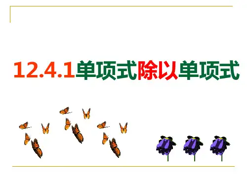 1.1单项式除以单项式PPT课件(华师大版)