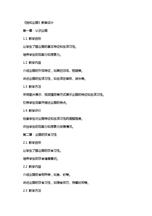 《我和企鹅》教案设计
