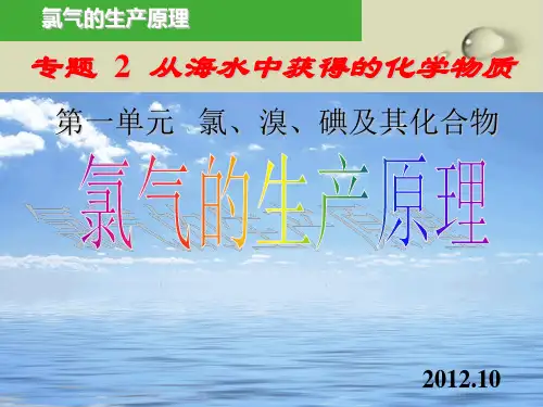 氯气的生产原理PPT下载7