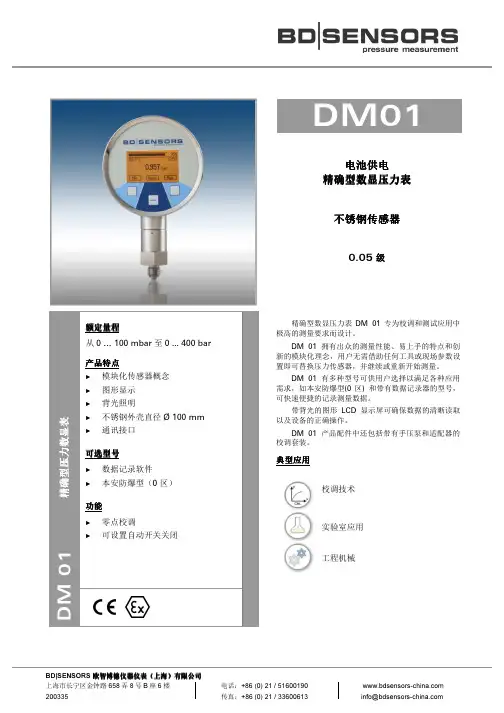 精确型数显压力表DM01_德国BD SENSORS