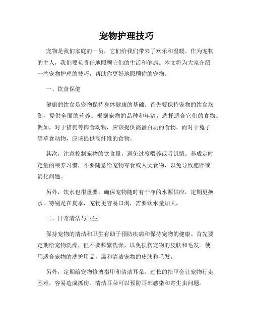 宠物护理技巧
