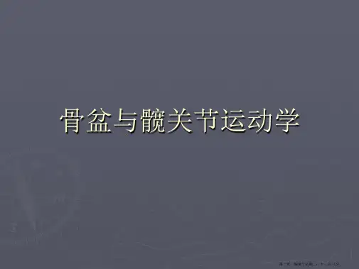 骨盆与髋关节运动学