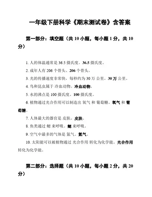 一年级下册科学《期末测试卷》含答案
