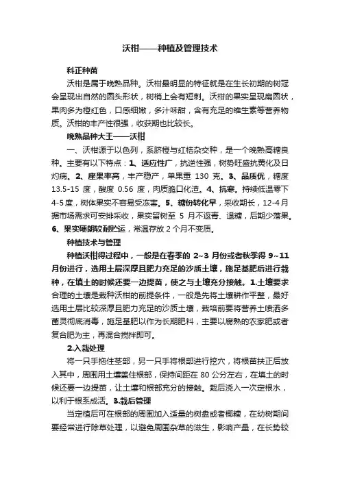 沃柑——种植及管理技术