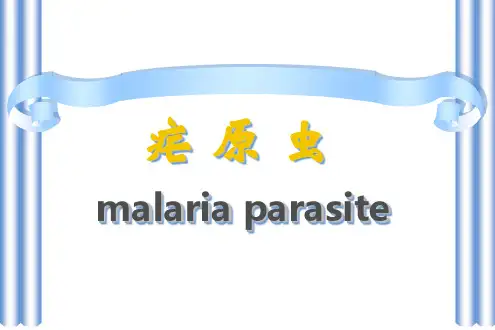 疟原虫