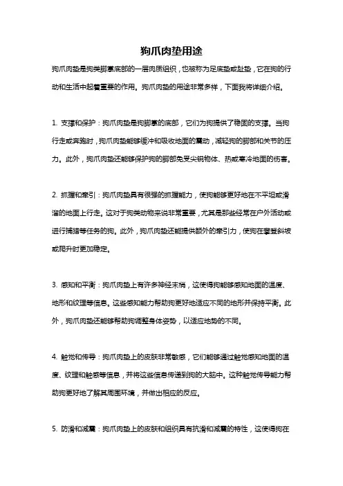 狗爪肉垫用途