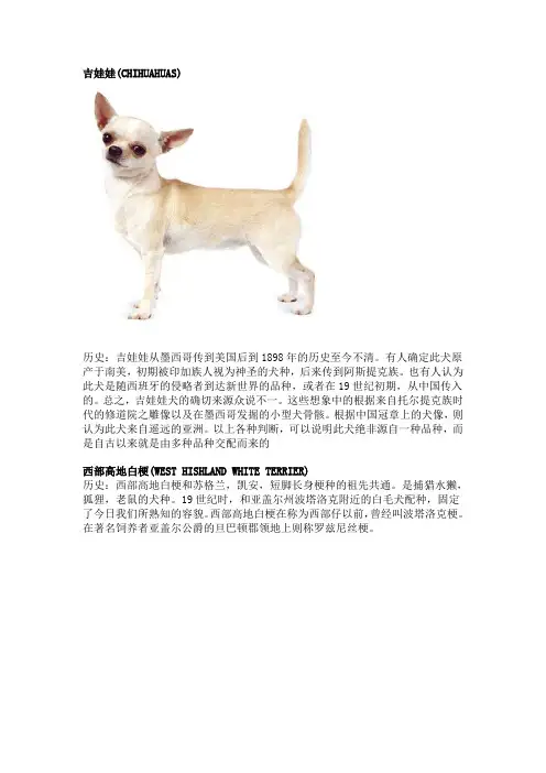 世界名犬