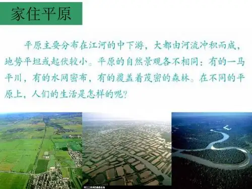七年级历史与社会上册课件：3.1.1稻作文化的印记 (共18张PPT)