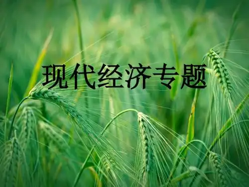 高考历史一轮专题复习 现代经济2课件课件