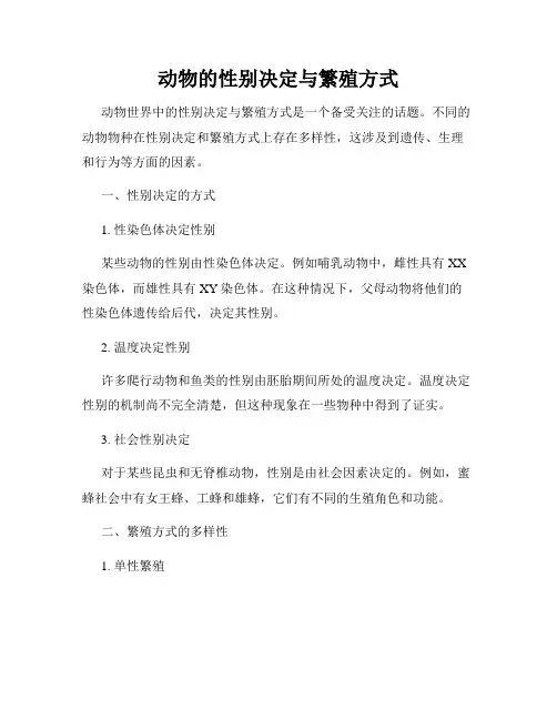 动物的性别决定与繁殖方式