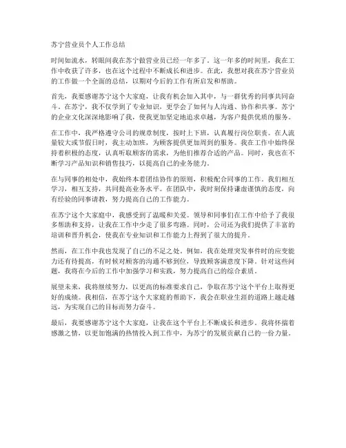 苏宁营业员个人工作总结