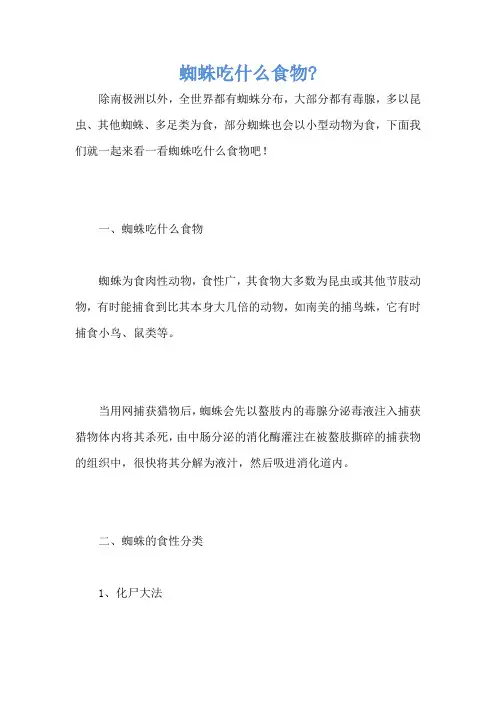 蜘蛛吃什么食物-