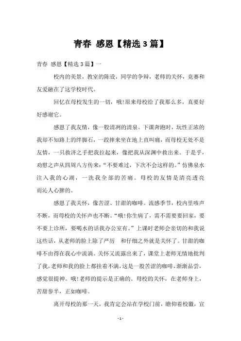 青春 感恩【3篇】