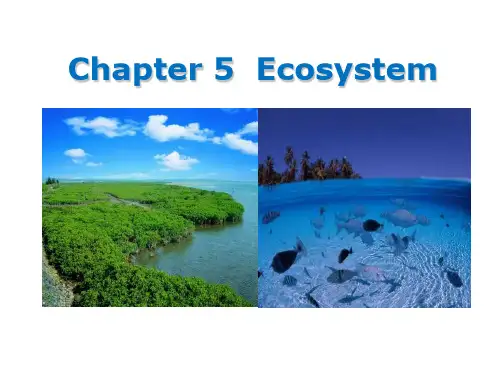 Chapter 5-生态系统-06-08 环境生态学英文版本课件