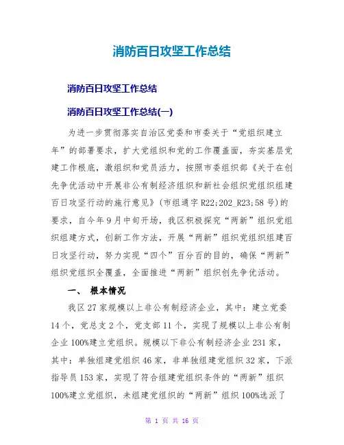 消防百日攻坚工作总结
