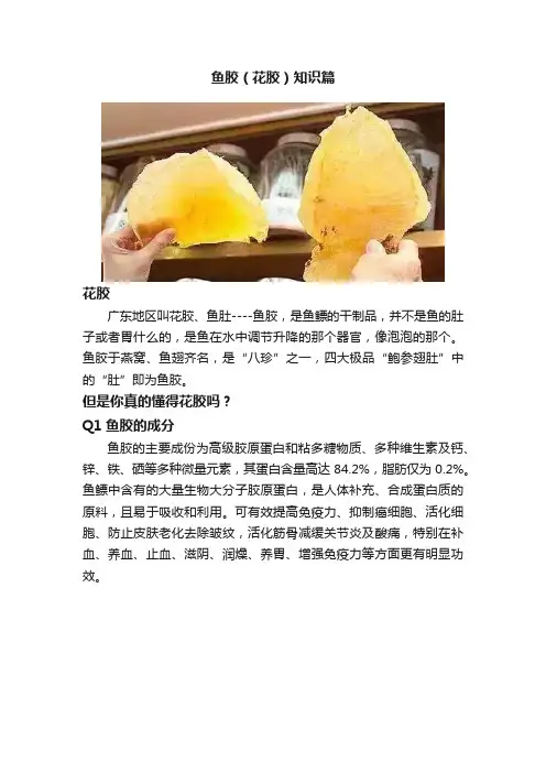 鱼胶（花胶）知识篇