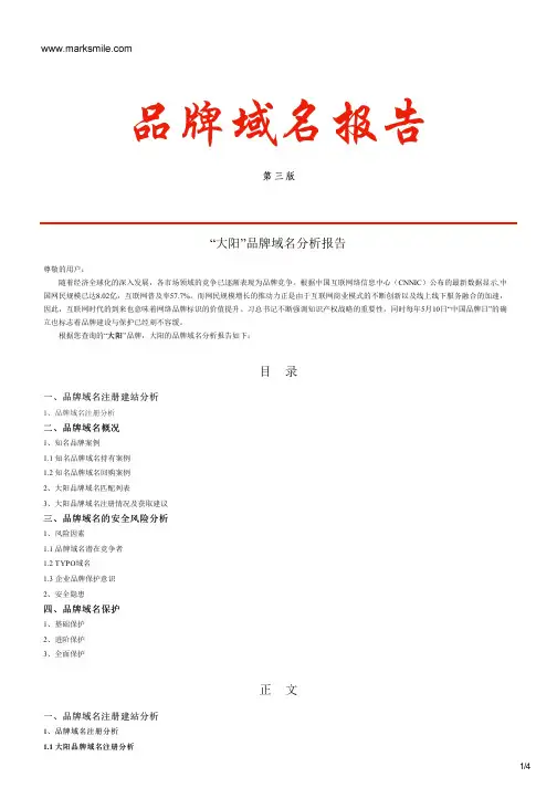 大阳的品牌域名分析报告